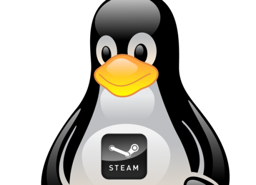 Thumbnail for post Valve Confirms Steam for Ubuntu