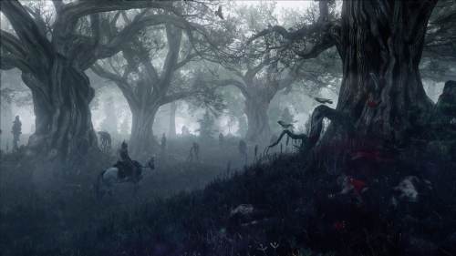 Witcher3_Forest