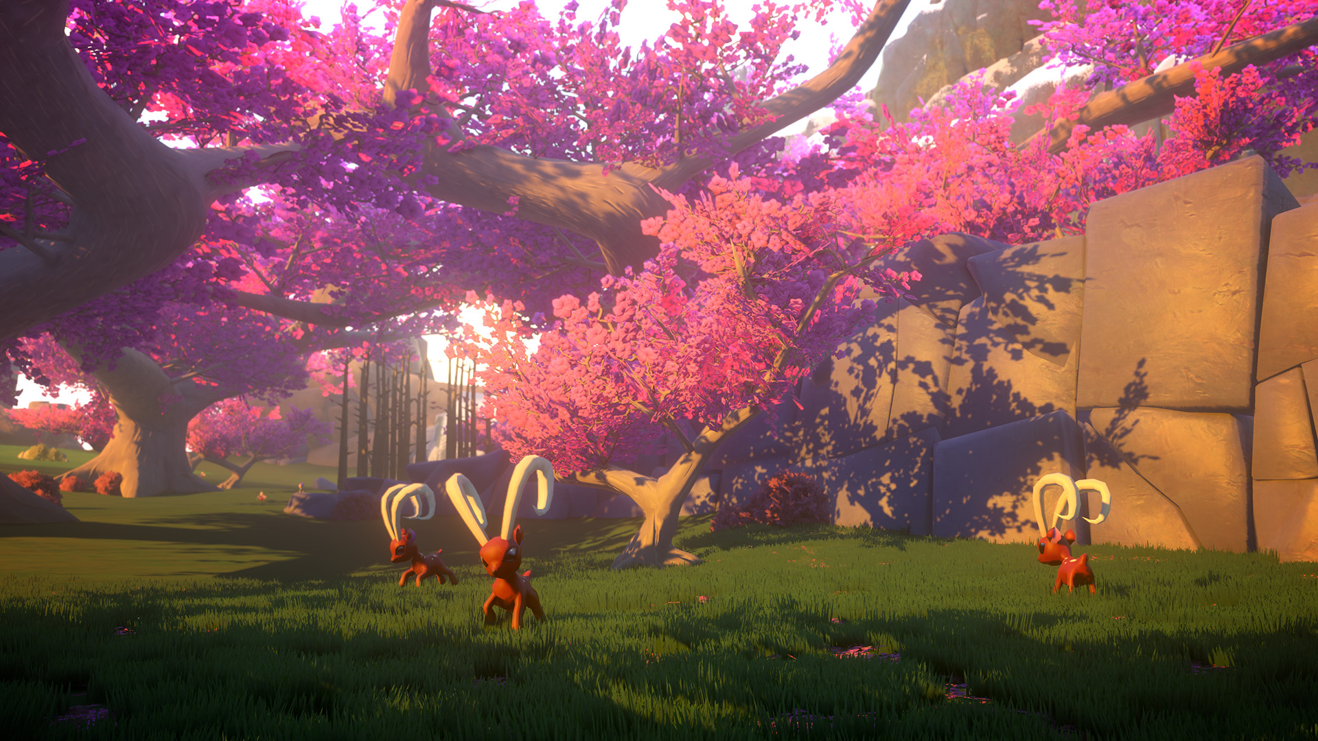 Yonder Review