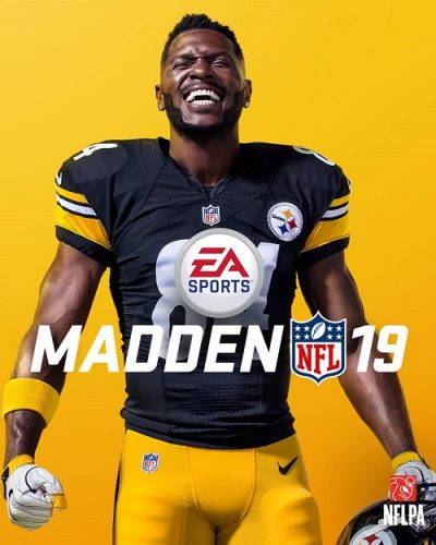 Thumbnail for post Madden NFL 19 Review