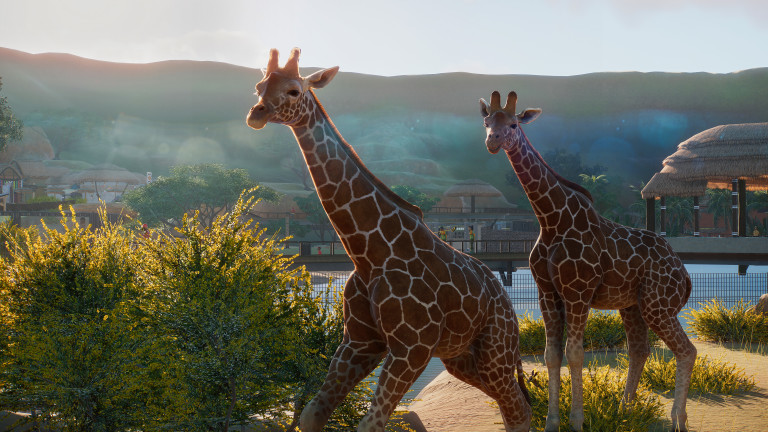 Gamescom 2019: Check out the career mode of Planet Zoo